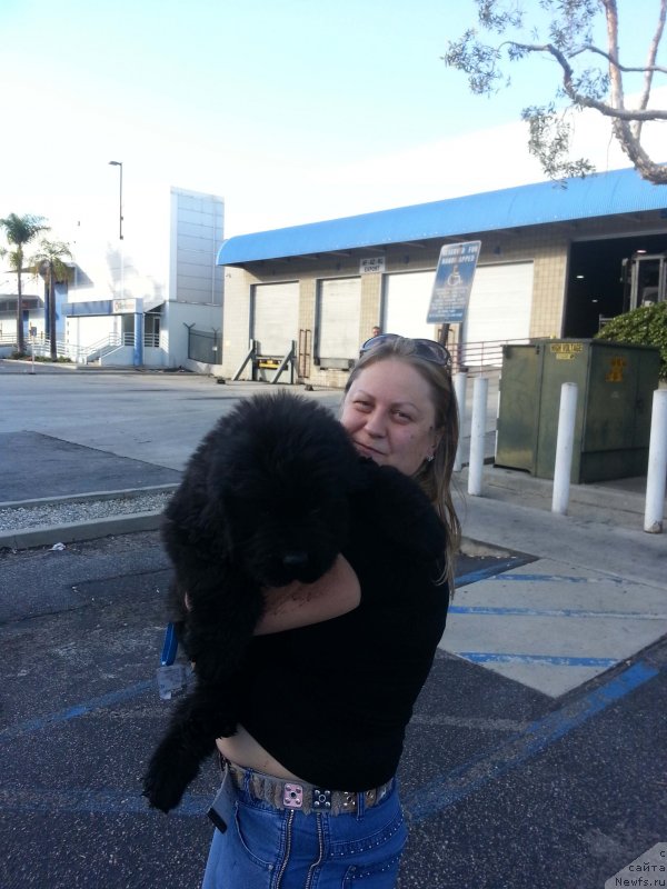 Фото: Veni Vidi Vici Dinastiya Soverchenstva, Наталья Пугалова