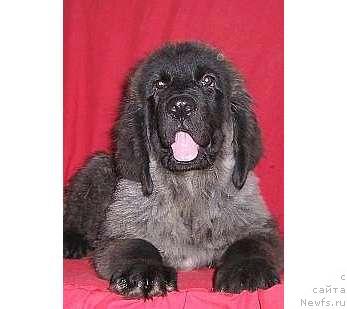 Фотография № 13996