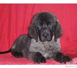 Фотография № 13997