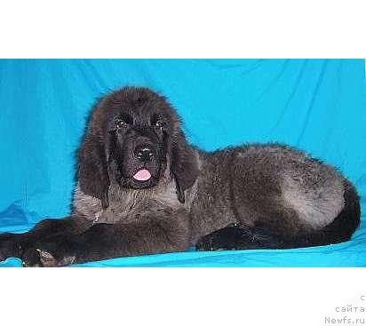 Фотография № 13998