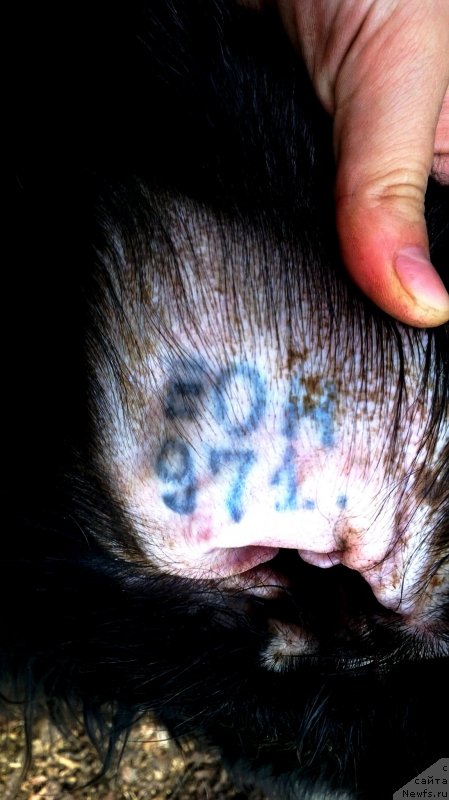 Фотография № 139996