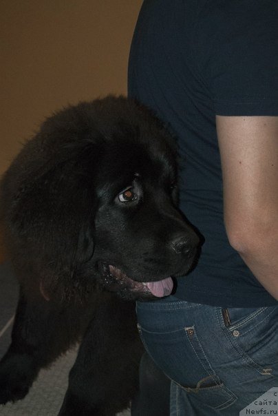 Фотография № 139999