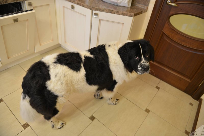 Фотография № 140046