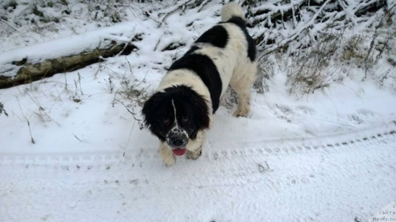 Фотография № 140047