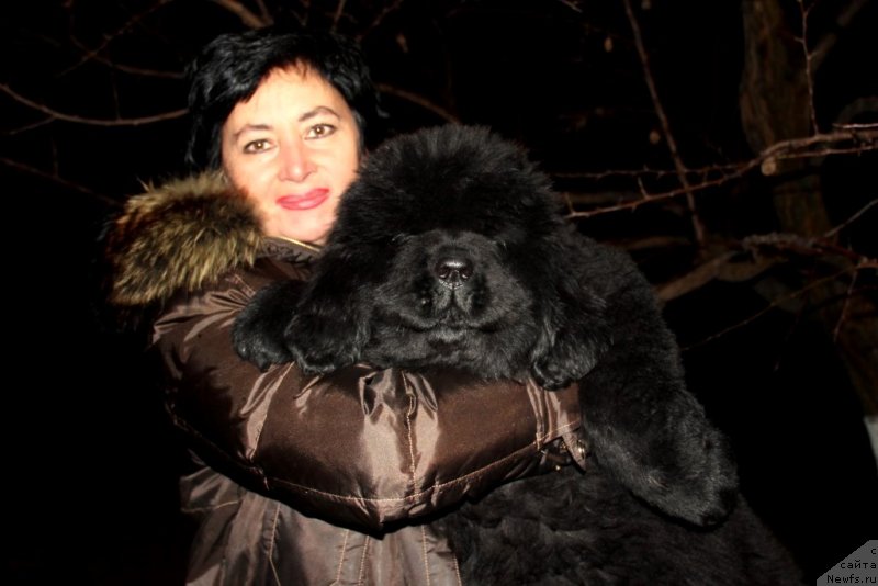 Фото: Victory Dance Dinastiya Soverchenstva