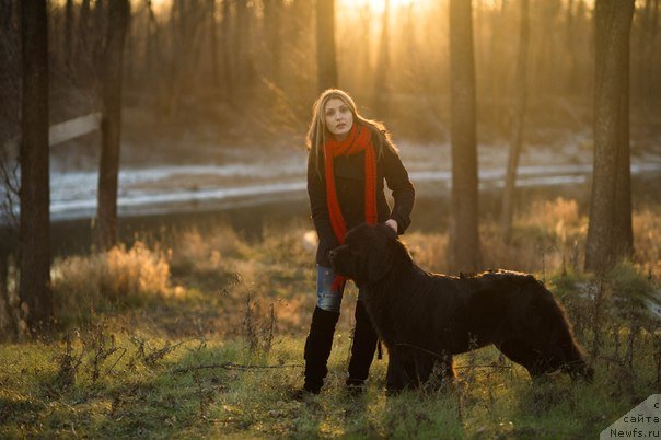 Фотография № 140117