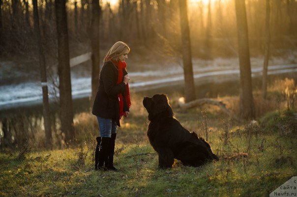 Фотография № 140118