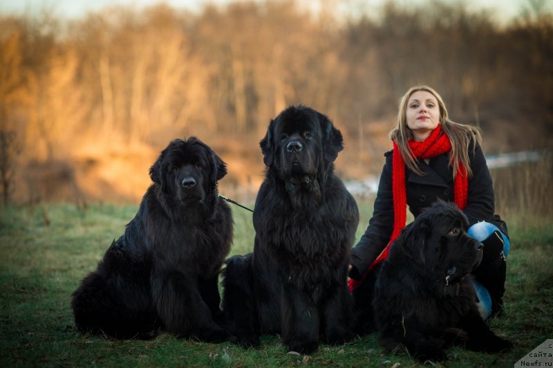 Фотография № 140120