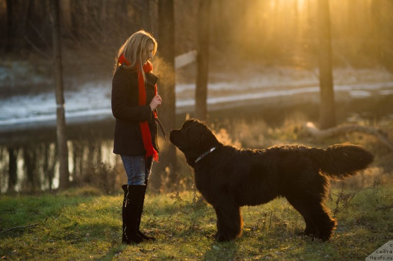 Фотография № 140121