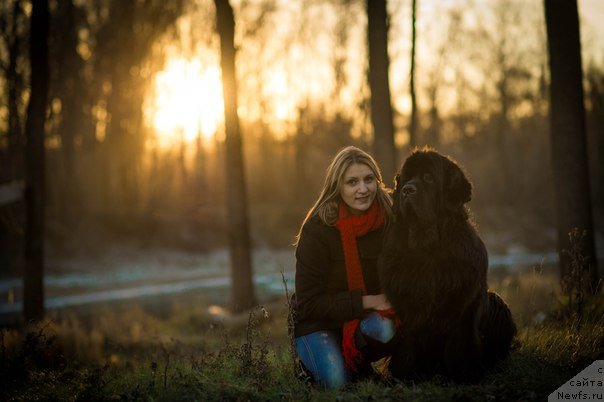 Фото: ньюфаундленд Милорд
