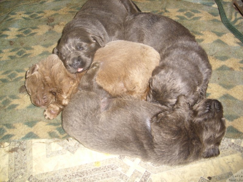 Фотография № 140131