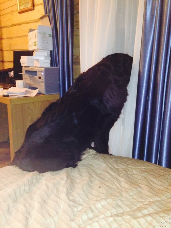 Фотография № 140142