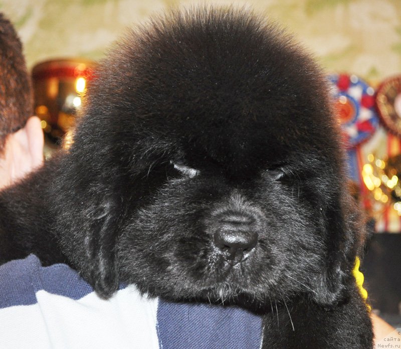 Фото: Бегущая по волнам РЕТЁН ОФ ЗЕ КВИН