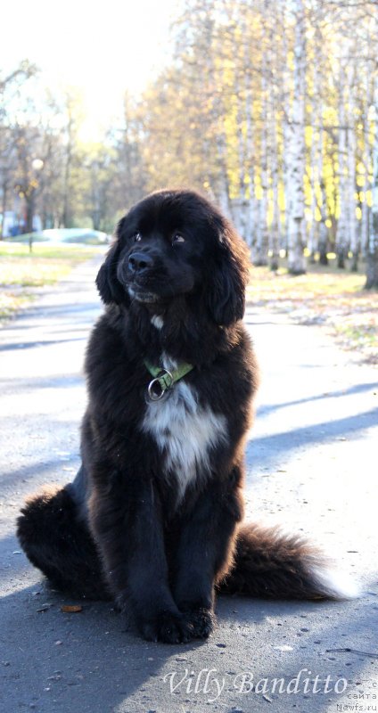 Фотография № 140214