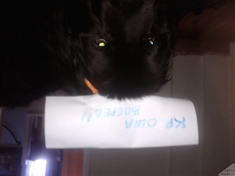 Фотография № 140226