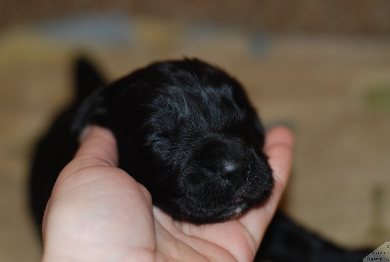 Фото: белый мальчик