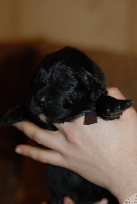 Фото: фиолетовый мальчик