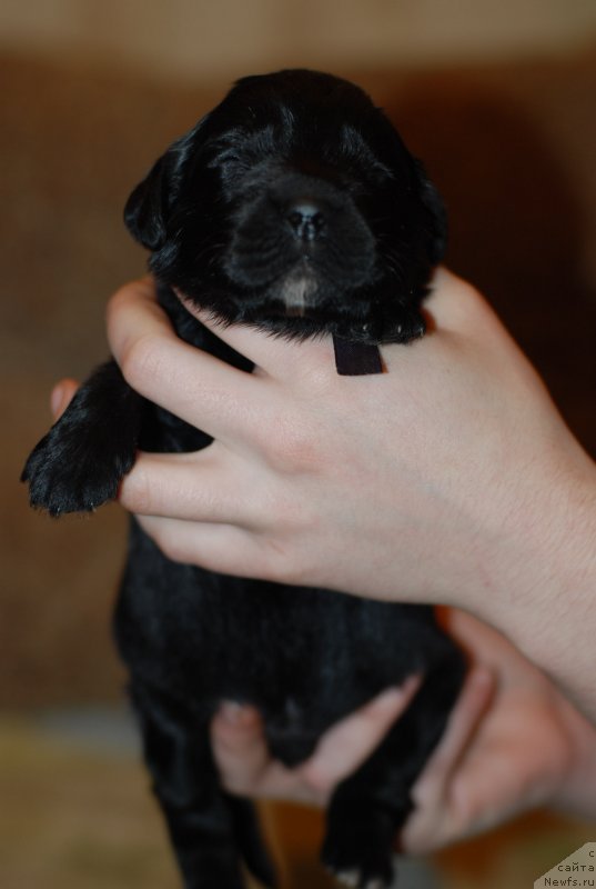 Фото: фиолетовый мальчик