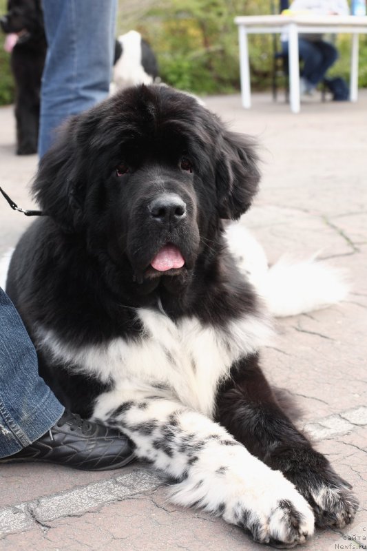 Фотография № 140352