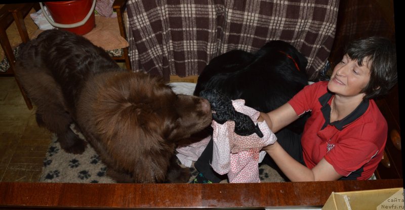 Фотография № 140370