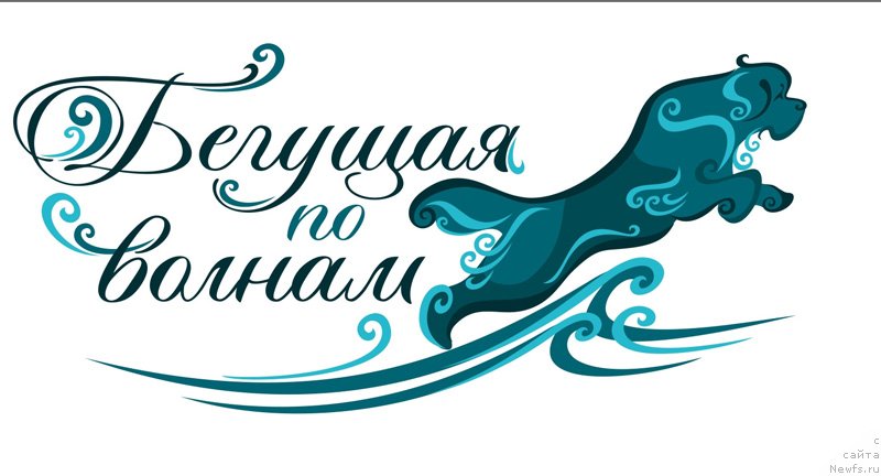 Фотография № 140434