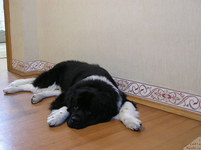 Фотография № 140442