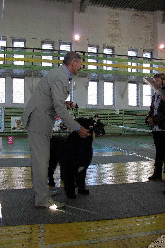 Фотография № 140479