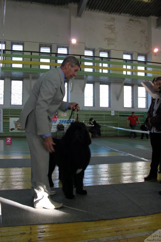 Фотография № 140480