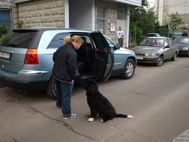 Фотография № 14052