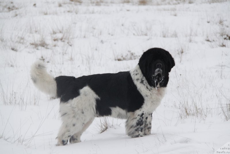 Фотография № 140566