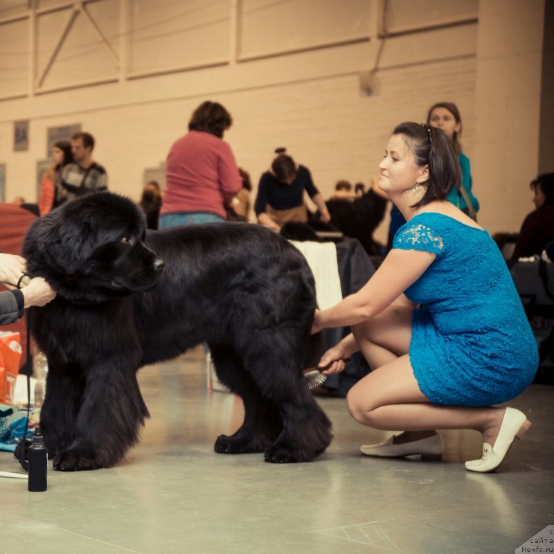 Фотография № 140582