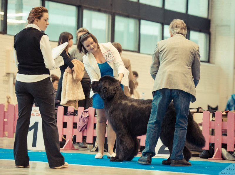 Фотография № 140603