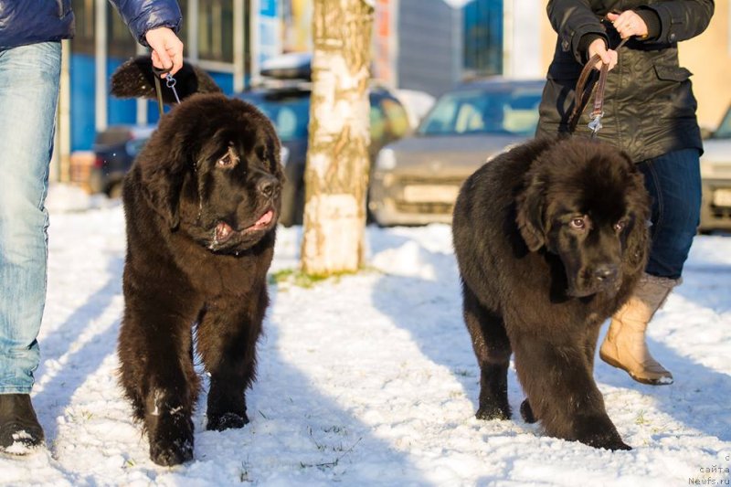 Фотография № 140613