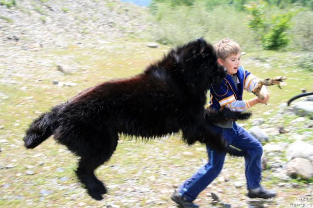 Фотография № 14063