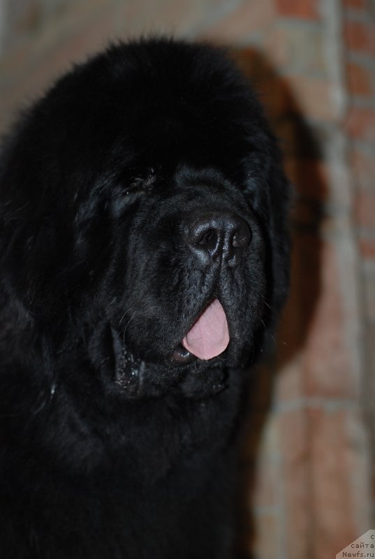 Фотография № 140678