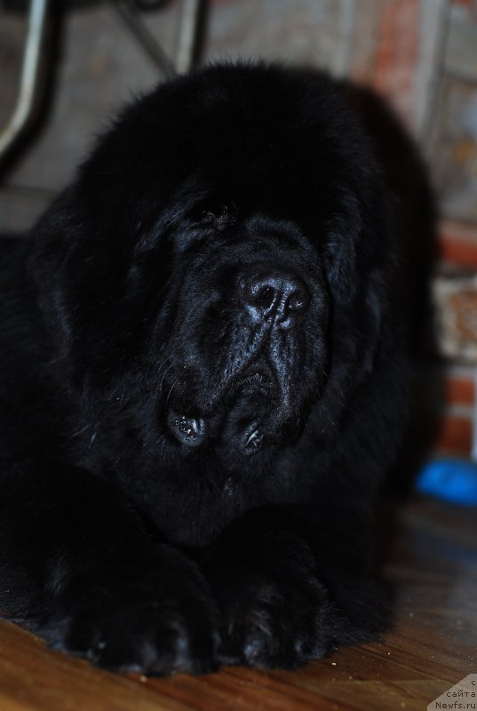 Фотография № 140679