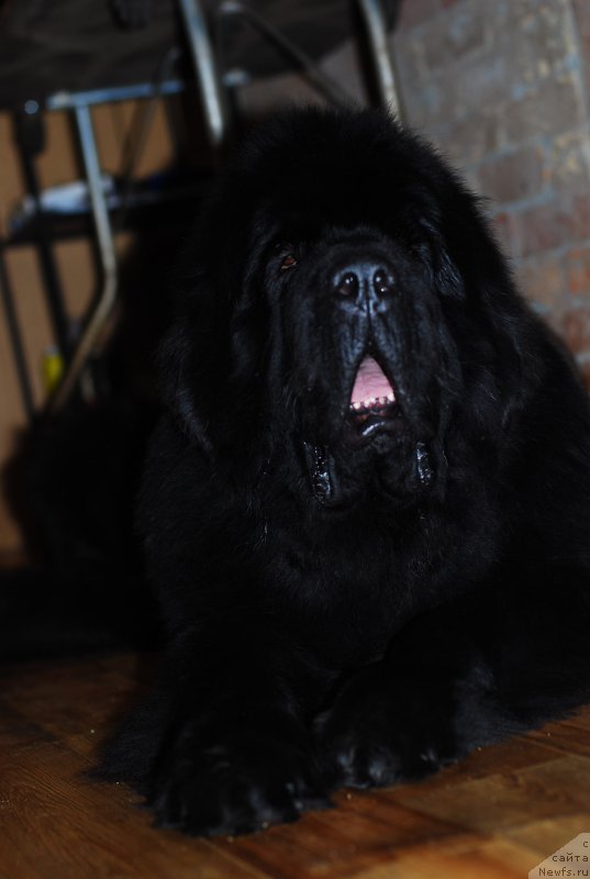 Фотография № 140680