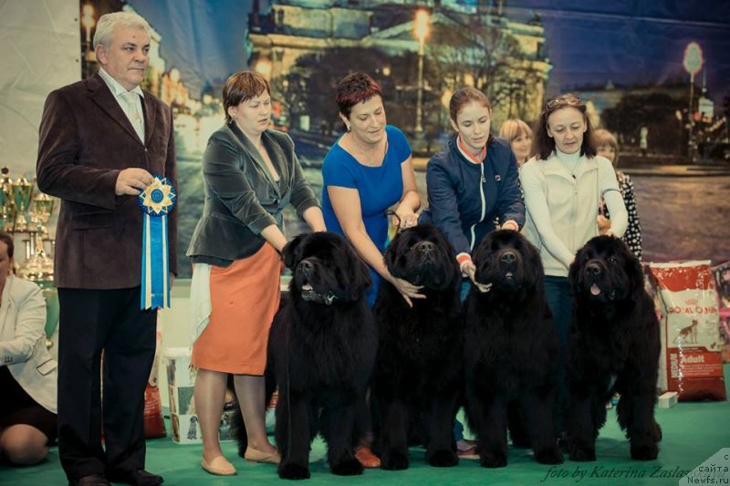 Фотография № 140681