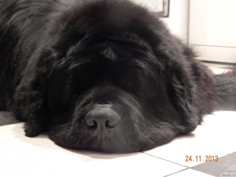 Фотография № 140682