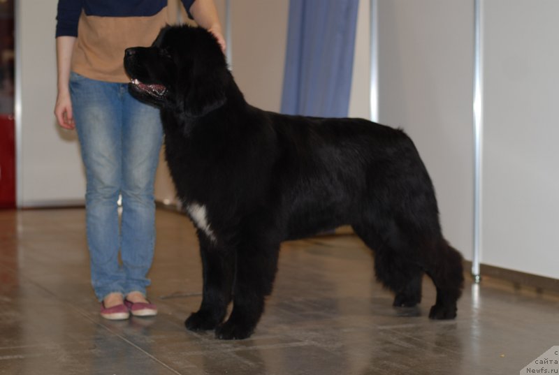 Фотография № 140683