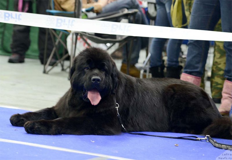 Фотография № 140684