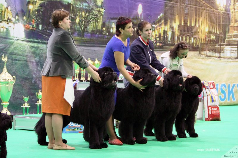 Фотография № 140688