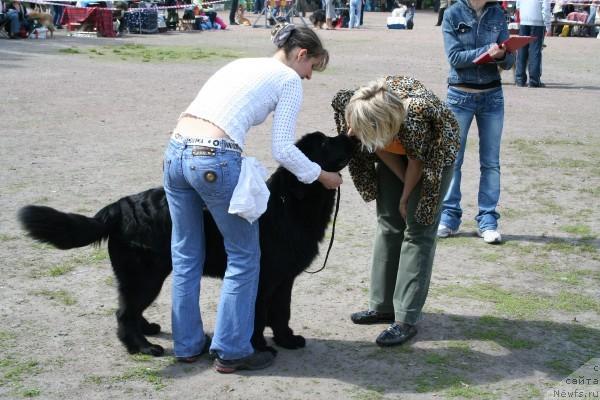 Фотография № 14069