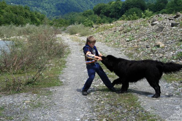 Фотография № 14070