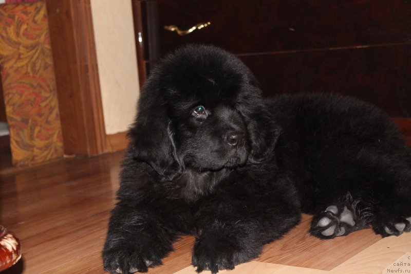 Фото: Ольга Заливако