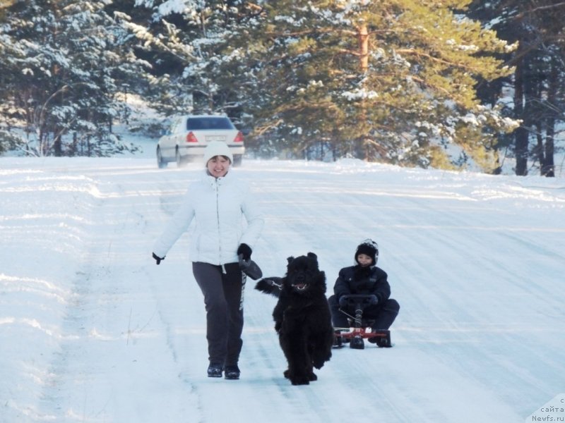 Фотография № 140733