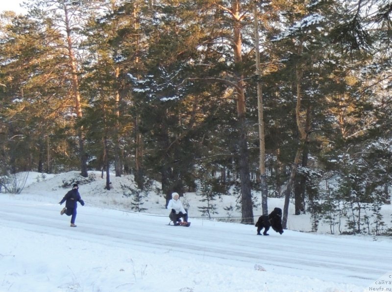 Фотография № 140735