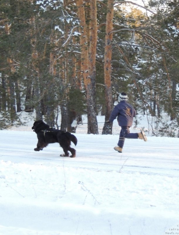 Фотография № 140736