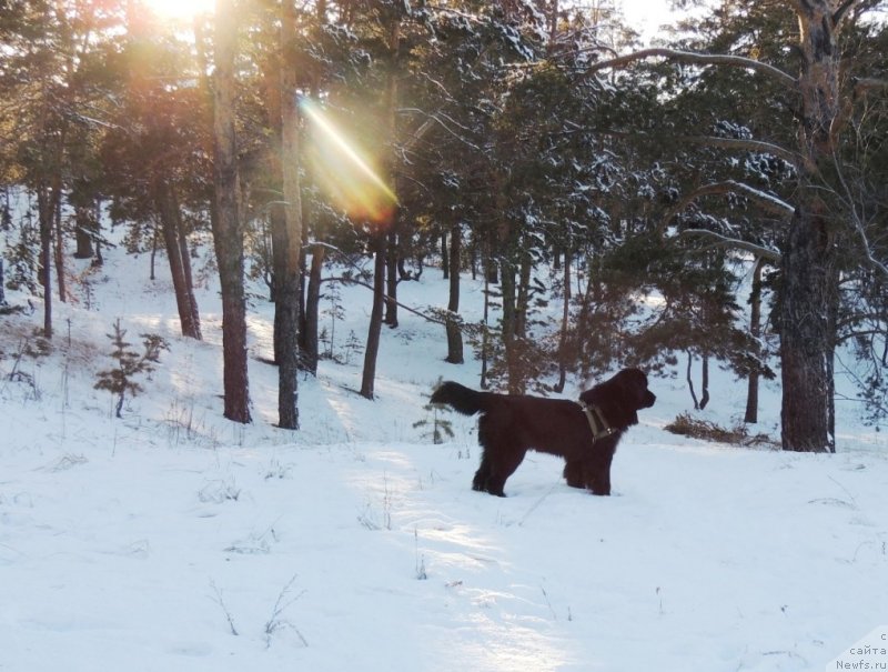 Фотография № 140737