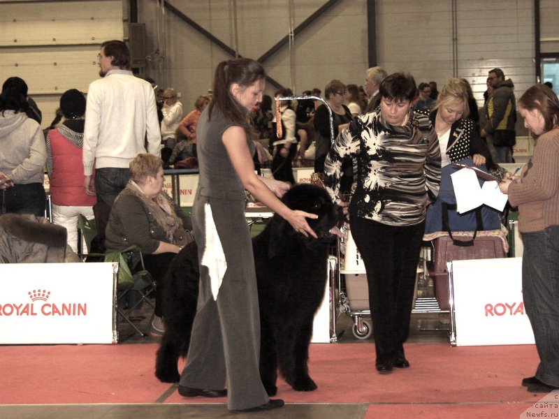 Фотография № 140746